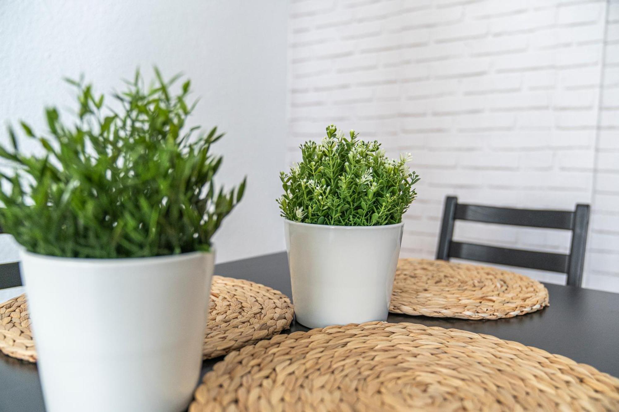 Piso Reformado En El Centro De Santander Apartment ภายนอก รูปภาพ